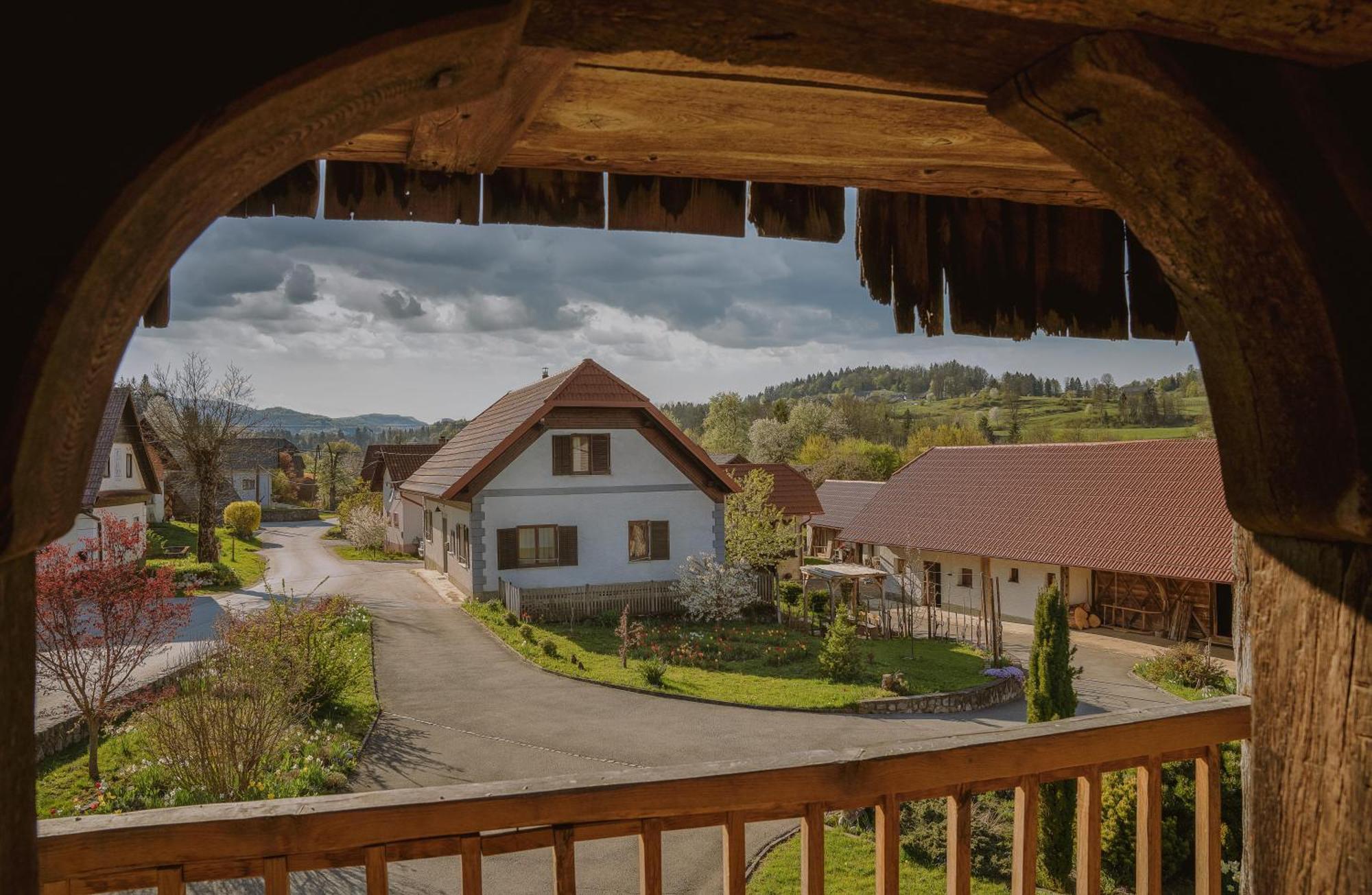 House Of Culture And Nature - Hisa Kulture In Nature Zagradec 外观 照片